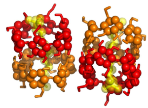 Cyclodextrine